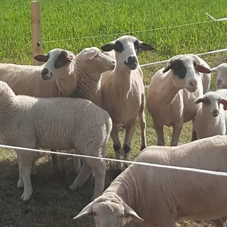 Pouls De Luxe 5sterne Klettbach